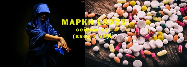 PSILOCYBIN Бронницы