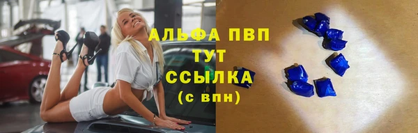 PSILOCYBIN Ростов