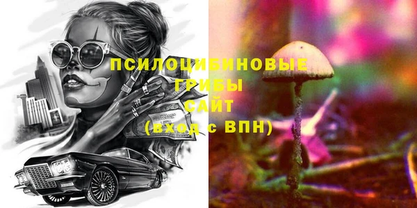 PSILOCYBIN Ростов