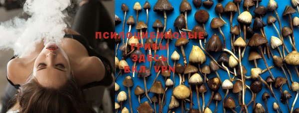 PSILOCYBIN Бронницы