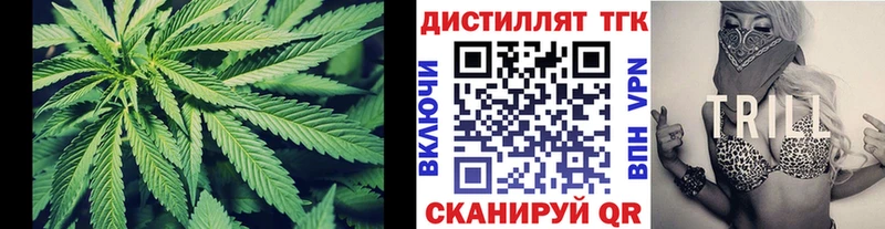 купить наркотики цена  Отрадная  ТГК гашишное масло 