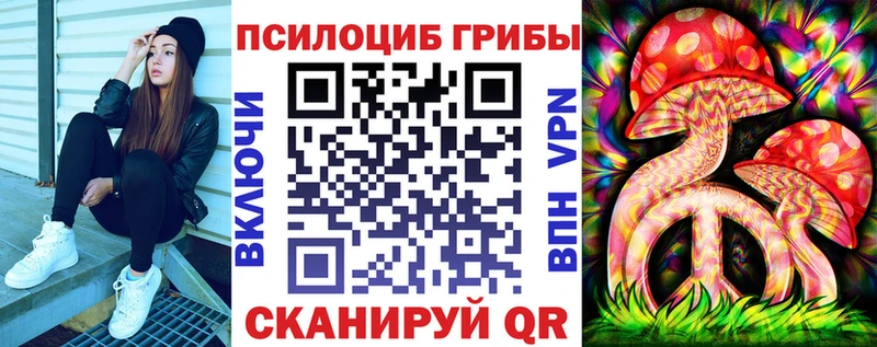 как найти закладки  Отрадная  Псилоцибиновые грибы GOLDEN TEACHER 